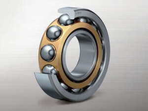  Bearing for Pumps and Compressors